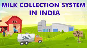 Amul Milk Collection Centre